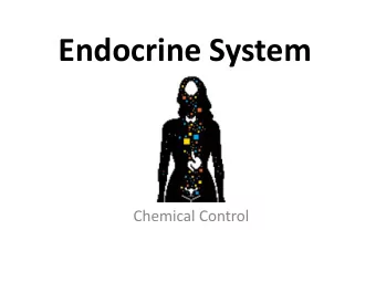 Endocrine System  Chemical Control  Endocrine System  A system glands that release chemical