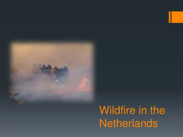 netherlands subjects