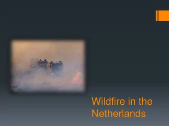 Netherlands  Subjects  1. Wildfires in the Netherlands?  2. National programme;  3. Spreadmodel;