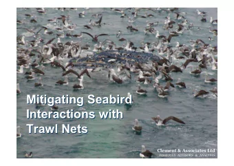 Mitigating Seabird  Mitigating Seabird  Interactions with  Interactions with  Trawl Nets  Trawl