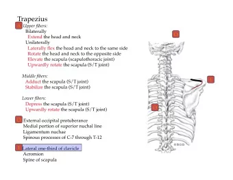A  O  I  O  O  I  A  O  I  O  I  A  O  I  O  O  I