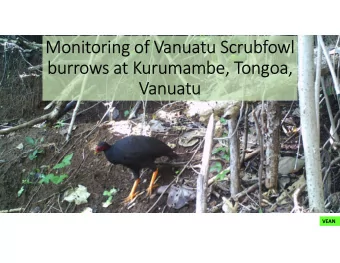 Monitoring of Vanuatu Scrubfowl  burrows at Kurumambe, Tongoa,  Vanuatu  VEAN  Location of