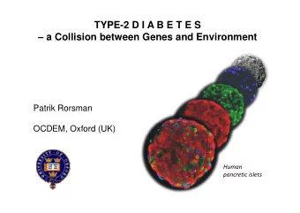 TYPE-2 D I A B E T E S   a Collision between Genes and Environment  Patrik Rorsman  OCDEM,