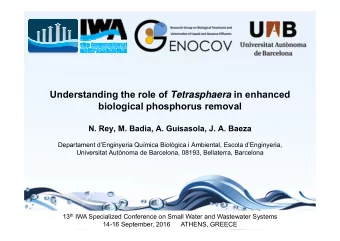 Understanding the role of Tetrasphaera in enhanced  biological phosphorus removal  N. Rey, M.