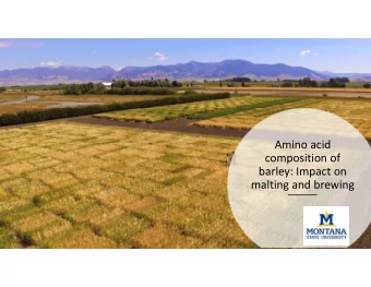 Amino acid  composition of  barley: Impact on  malting and brewing  MSU Barley  Breeding, Genetics