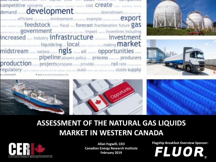 assessment of the natural gas liquids market in western
