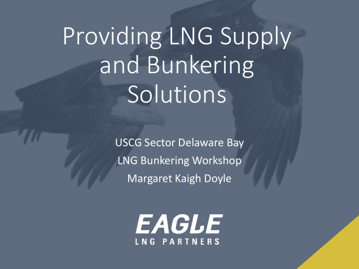providing lng supply and bunkering solutions