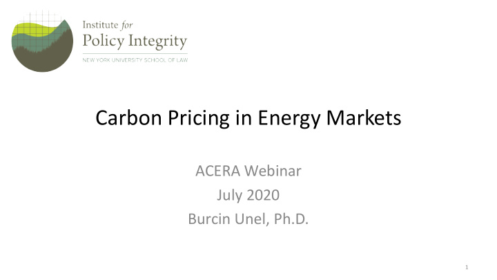 carbon pricing in energy markets