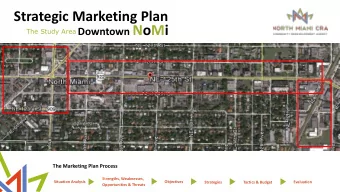 Downtown NoMi  The Study Area  The Marketing Plan Process  Strengths, Weaknesses,  Situation