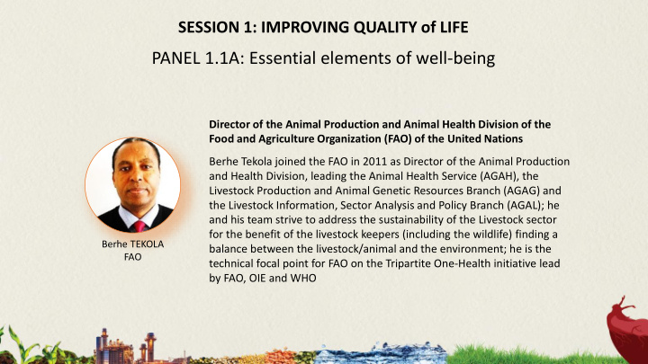 panel 1 1a essential elements of well being