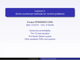 Lecture 4:  Some numerical methods for control problems  Enrique FERNNDEZ-CARA  Dpto. E.D.A.N. -