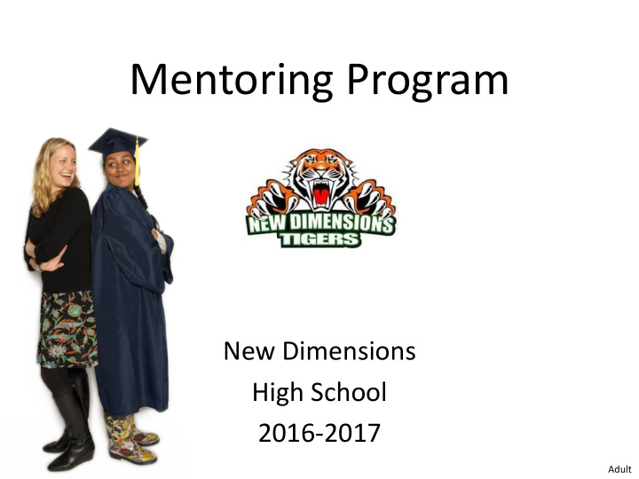 mentoring program