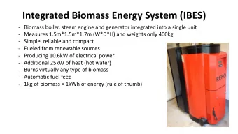 Integrated Biomass Energy System (IBES)  - Biomass boiler, steam engine and generator integrated