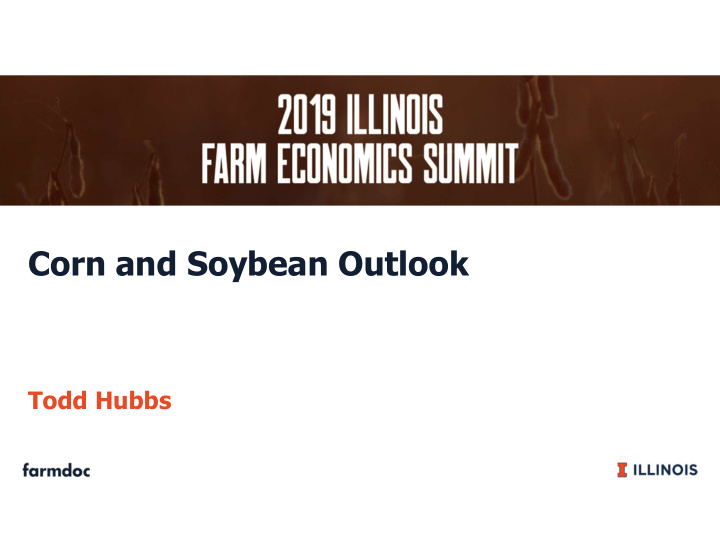 corn and soybean outlook