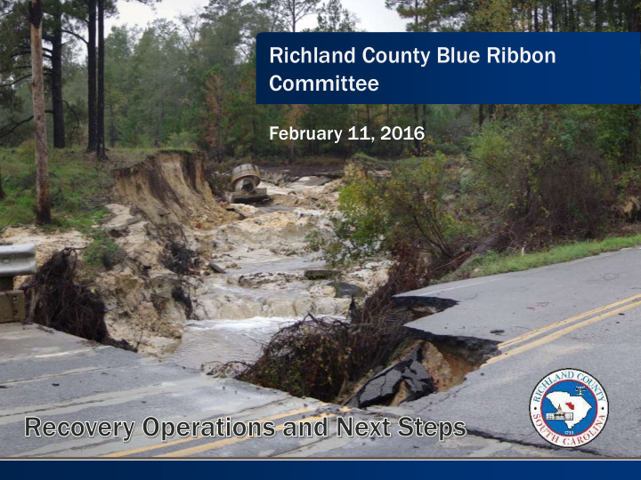 richland county blue ribbon committee