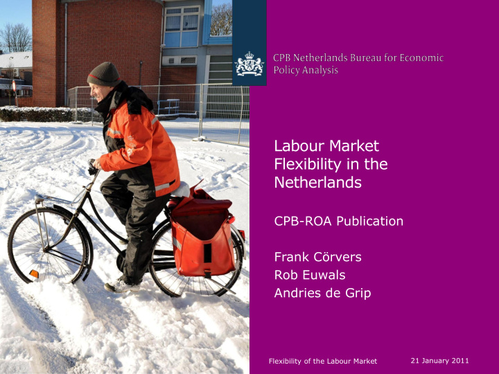 labour market flexibility in the netherlands