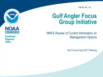 Group Initiative  NMFS Review of Current Information on  Southeast  Management Options  Regional