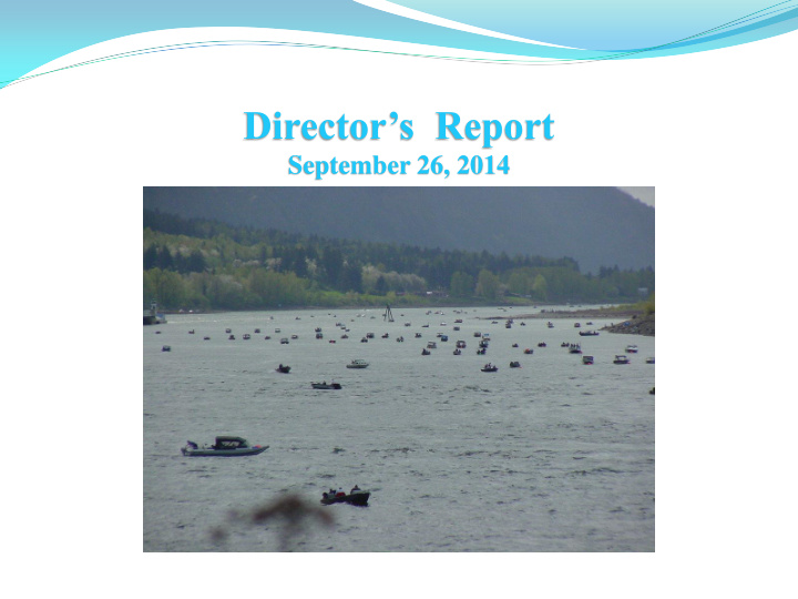 director s report
