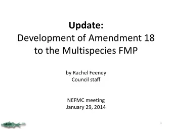 Development of Amendment 18  to the Multispecies FMP  by Rachel Feeney  Council staff  NEFMC