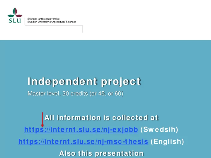 independent project
