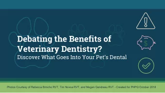 Debating the Benefits of  $  Veterinary Dentistry?  Discover What Goes Into Your Pets Dental