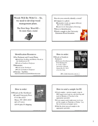 Weeds Will Be With Us  So,  How do you correctly identify a weed?  we need to develop weed