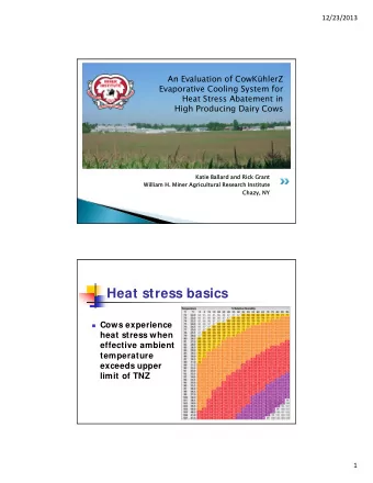 Heat stress basics  Cows experience  heat stress when  effective ambient  temperature  exceeds