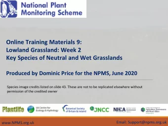 Online Training Materials 9:  Lowland Grassland: Week 2  Key Species of Neutral and Wet Grasslands