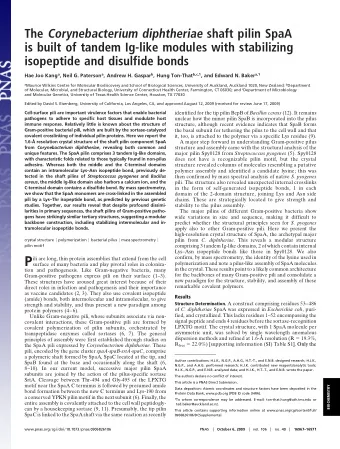 P  confirm, by mass spectrometry, the identity of the lysine used in  ili are long, thin protein