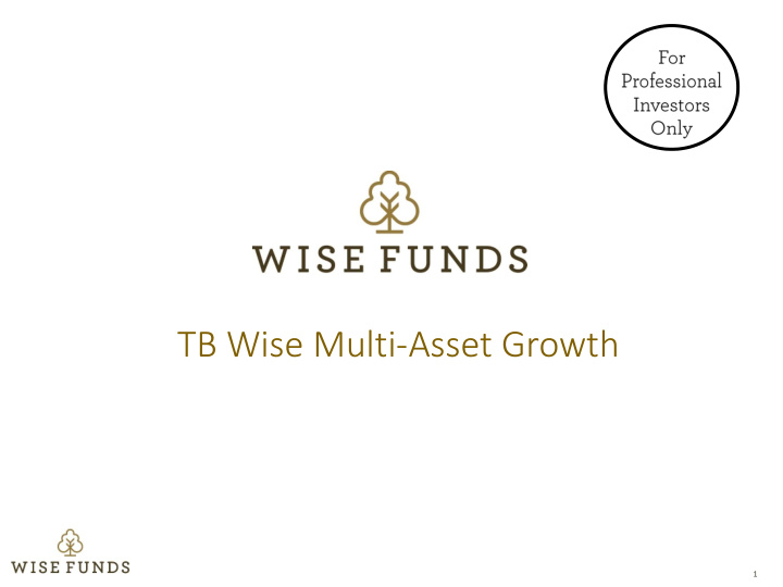 tb wise multi asset growth