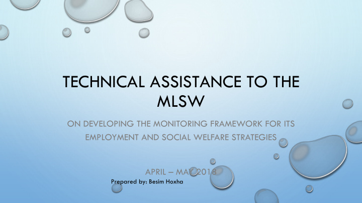technical assistance to the mlsw
