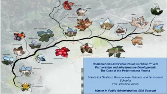 Competencies and Politicization in Public-Private  Partnerships and Infrastructure Development: