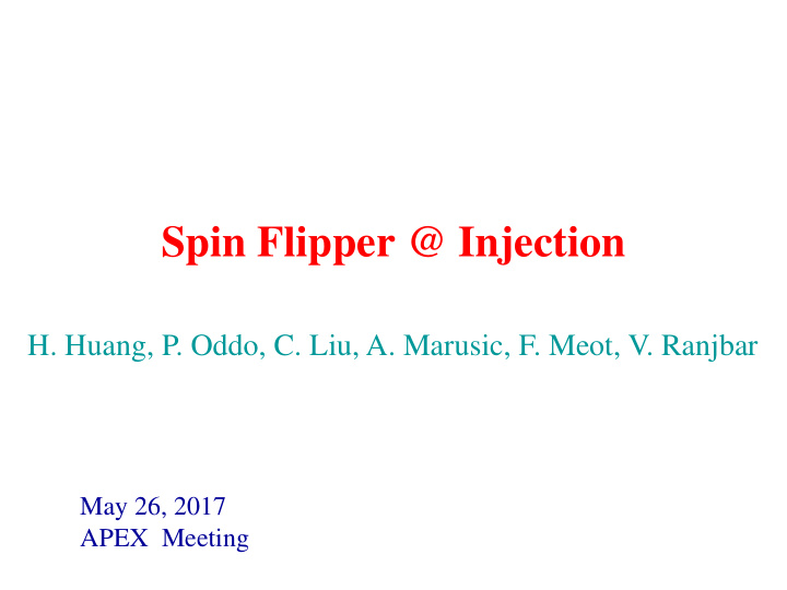 spin flipper injection
