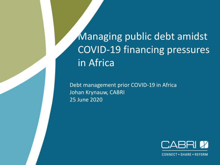 managing public debt amidst