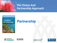 partnership what is the choice partnership approach