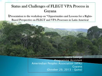 Laura George  Programme Assistant  Amerindian Peoples Association (APA))  Guyana (October 29, 2013