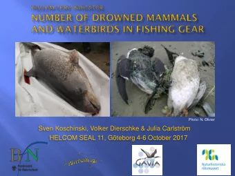 Sven Koschinski, Volker Dierschke &amp; Julia Carlstrm  HELCOM SEAL 11, Gteborg 4-6 October