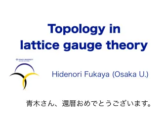 Topology in  lattice gauge theory  Hidenori Fukaya (Osaka U.)