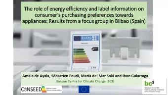 appliances: Results from a focus group in  in Bil ilbao (Spain )  Amaia de Ayala, Sbastien Foudi,