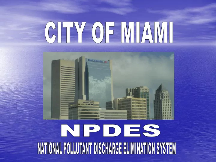 please report environmental violations to 305 416 1295