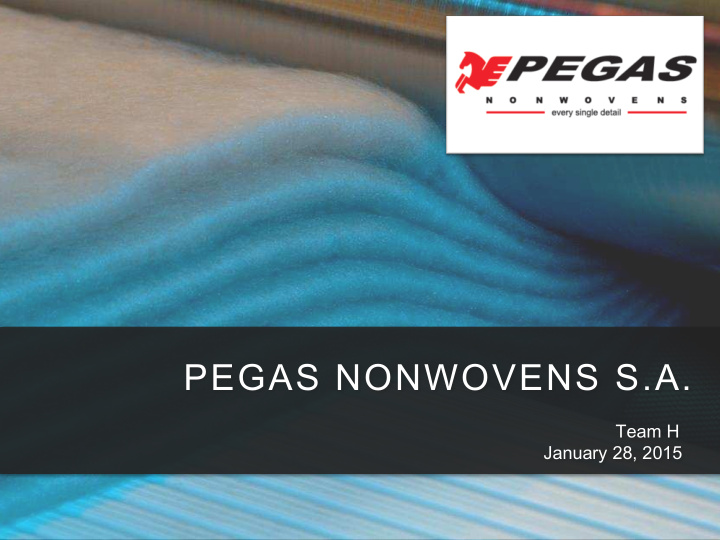 pegas nonwovens s a