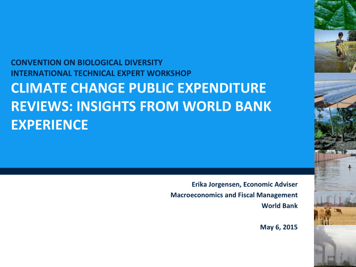 climate change public expenditure reviews insights from