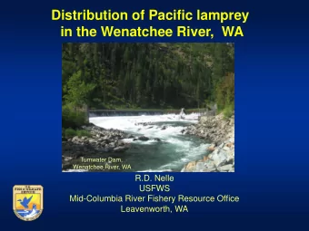 in the Wenatchee River,  WA  Tumwater Dam,  Wenatchee River, WA  R.D. Nelle  USFWS  Mid-Columbia