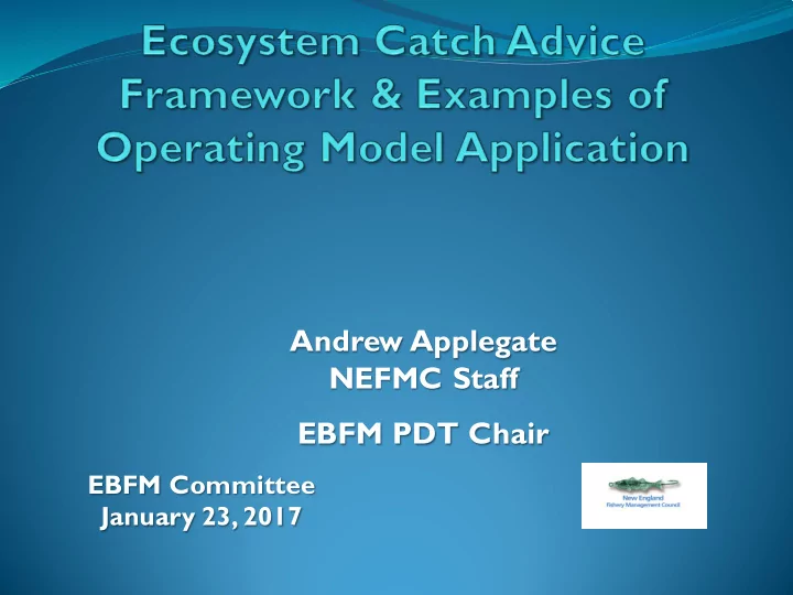 andrew applegate nefmc staff ebfm pdt chair