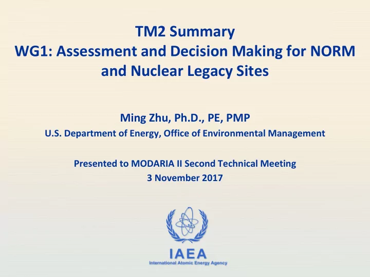tm2 summary wg1 assessment and decision making for norm