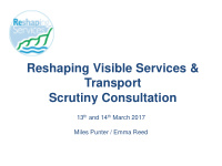 reshaping visible services transport scrutiny
