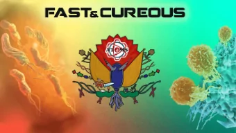 a  toms-turkiye  He  Heli  licobacter  cobacter pyl  ylori  ori  %50  %50  He  Heli  licobacter