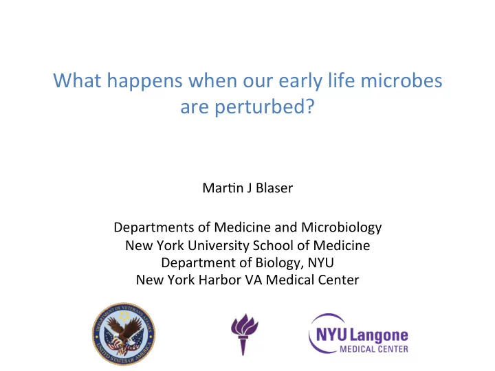 what happens when our early life microbes are perturbed