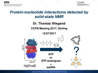 ?  190   ATP  or  ATP-analogues  120   + Hp DnaB  ssDNA Laboratory of Physical Chemistry