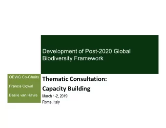 Thematic Consultation:  Francis Ogwal  Capacity Building  Basile van Havre  March 1-2, 2019